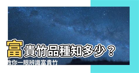 開運竹富貴竹分別|富貴竹、轉運竹、觀音竹，傻分不清？3分鐘教你如何。